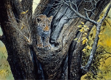léopard 19 Peinture à l'huile
